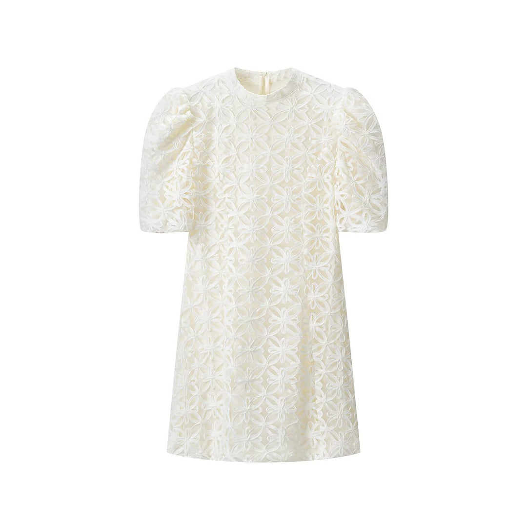 Women A-line Mini Dress with three-dimensional flower embroidery and puff sleeves Amarae