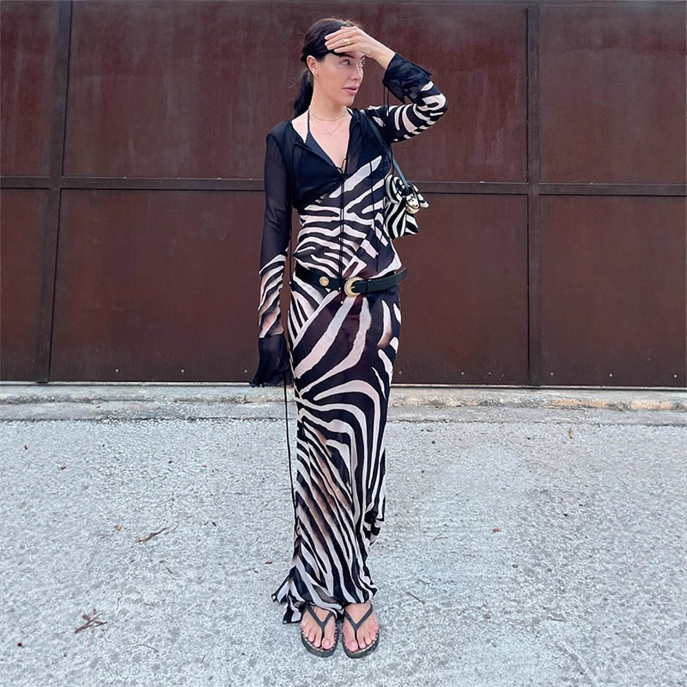 Women's body-hugging mesh maxi dress with deep V-neckline & graphic zebra print Amarae