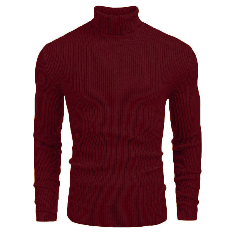 Elegant ribbed turtleneck sweater for men Lune London