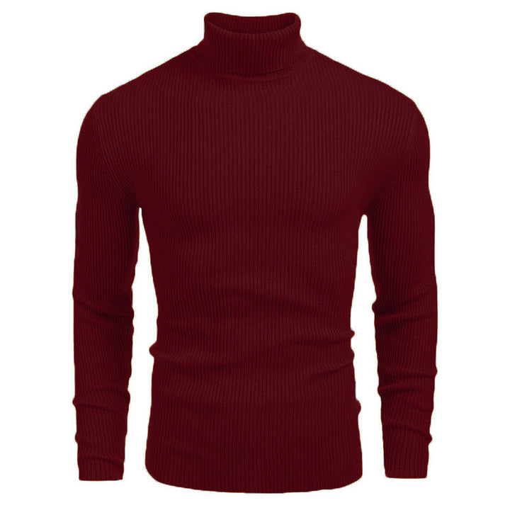 Elegant ribbed turtleneck sweater for men Lune London