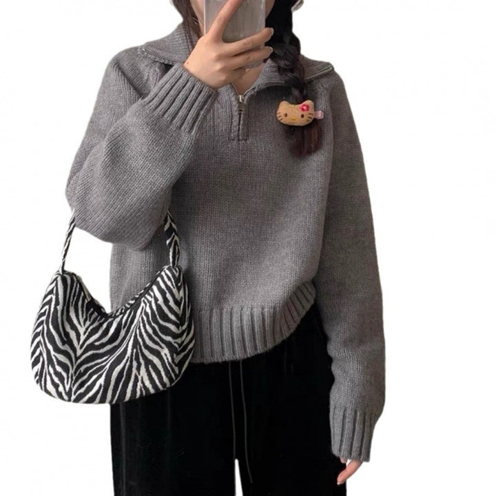 Pull en tricot pour femmes avec fermeture éclair et col haut Chic & Stil