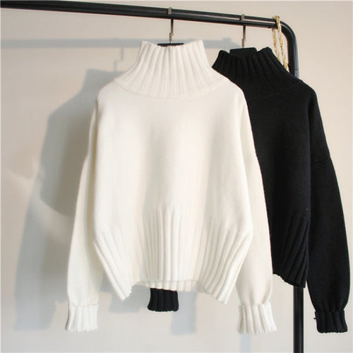Women's turtleneck sweater with ribbed detail Amarae