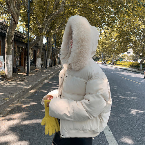 Ladies Fashionable and Warm Clothing, padded jacket with luxurious faux fur collar Amarae
