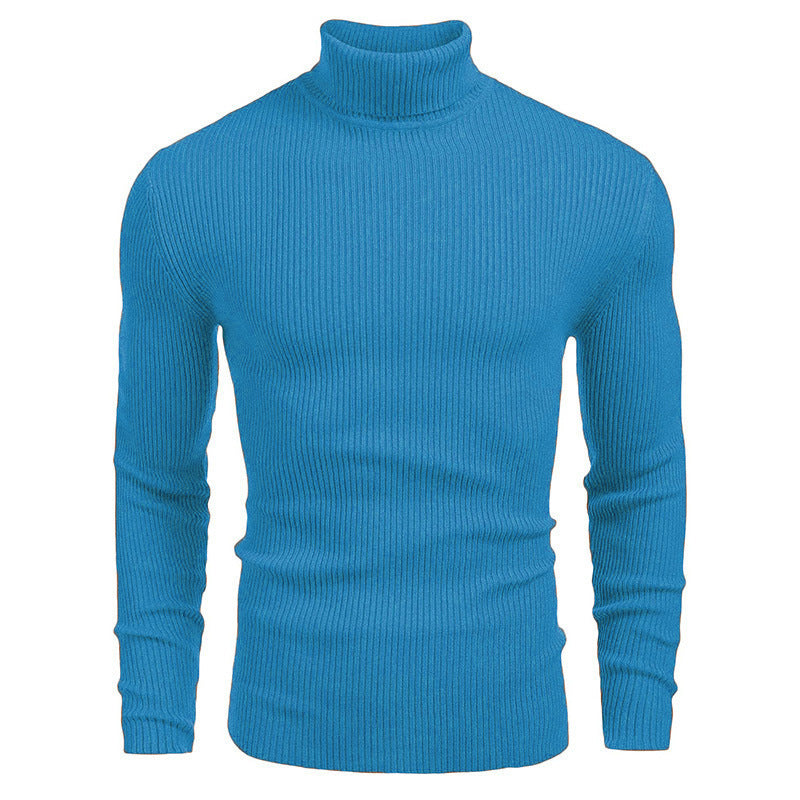 Elegant ribbed turtleneck sweater for men Lune London