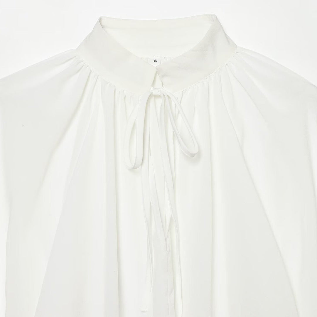 Women's Transparent Blouse with Stand Collar, Ruffle Sleeves and Lace Trim Amarae