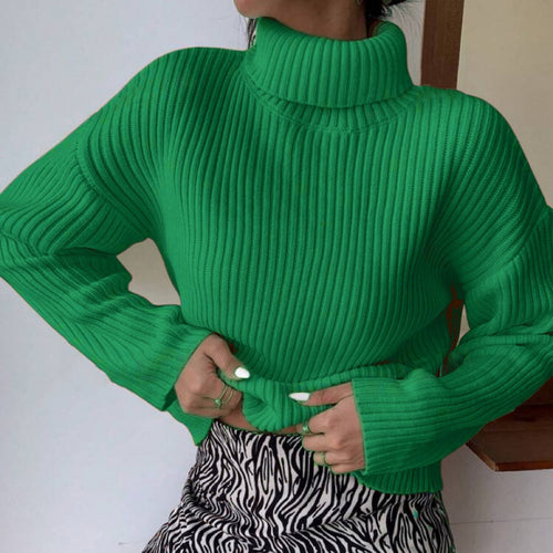 Pullover à col roulé tendance pour femmes avec texture en côtes Amarae