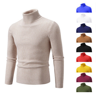 Men's ribbed turtleneck sweater in fine ribbed fabric Amarae