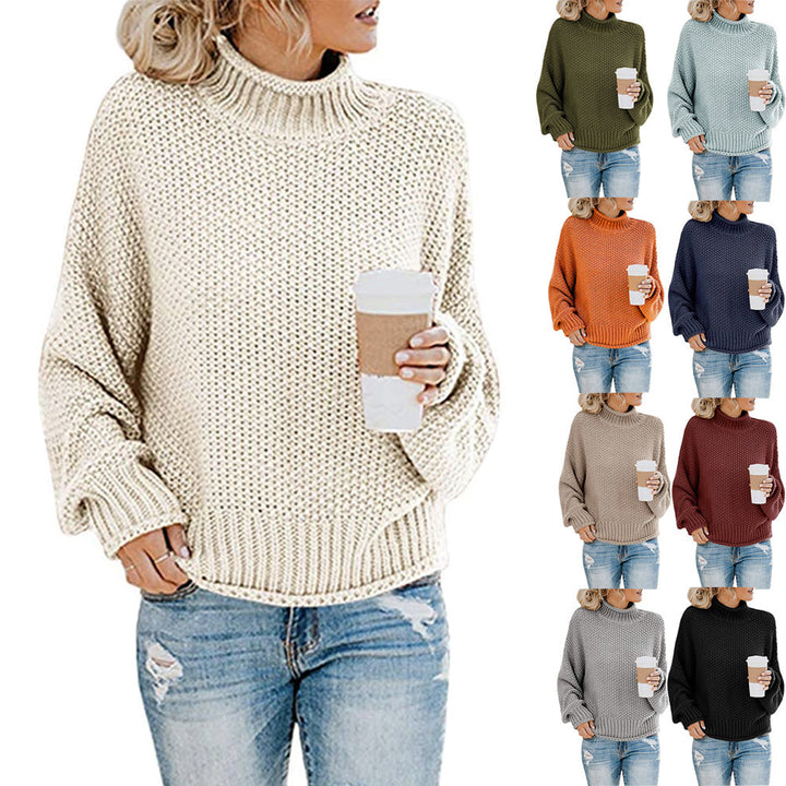 Ladies Large Chic Knitted Sweater and Style