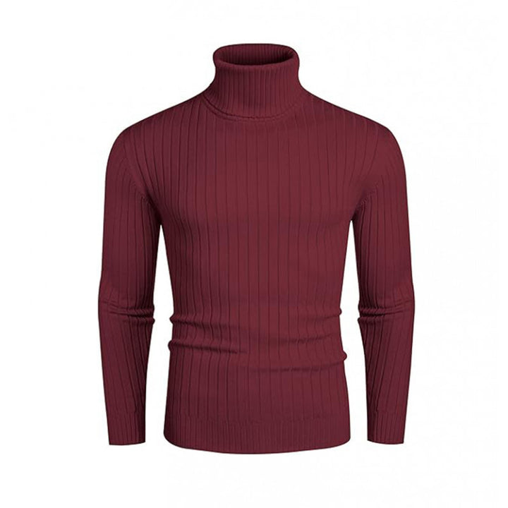 high-quality turtleneck pullover for men with a fine rib structure Lune London