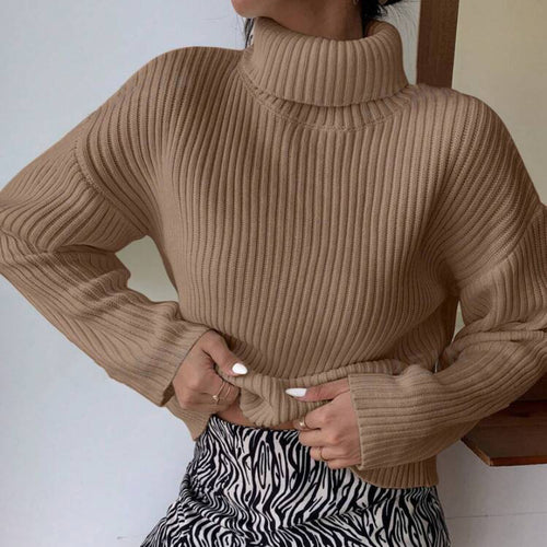 High-quality ribbed knit turtleneck sweater for women Amarae