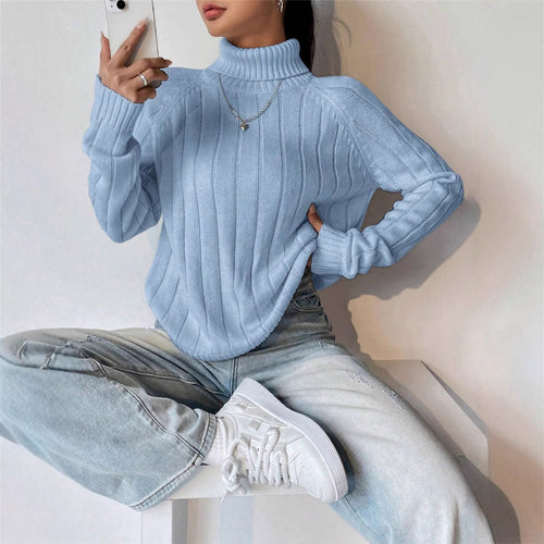 Amarae Women's Knit Sweater with High Collar