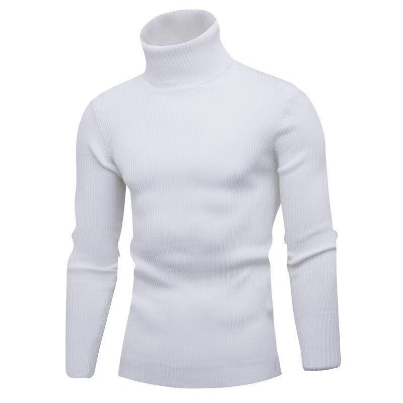 Trendy turtleneck sweater for men in fine ribbed texture Lune London
