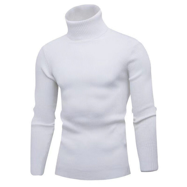 Trendy turtleneck sweater for men in fine ribbed texture Lune London