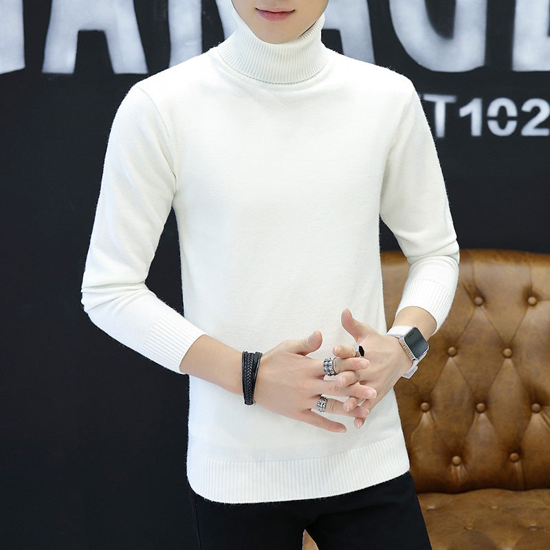 Turtleneck sweater with a fine structure for men Lune London