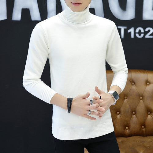 Turtleneck sweater with a fine structure for men Amarae