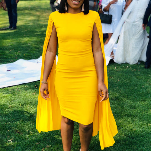 Women Elegant dress with refined pleated sleeves and a fitted cut Amarae