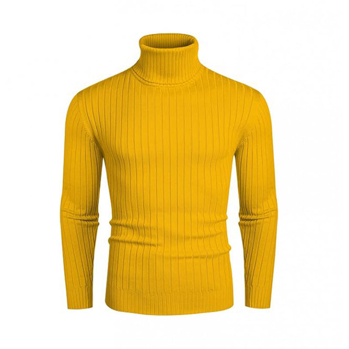 high-quality turtleneck pullover for men with a fine rib structure Lune London