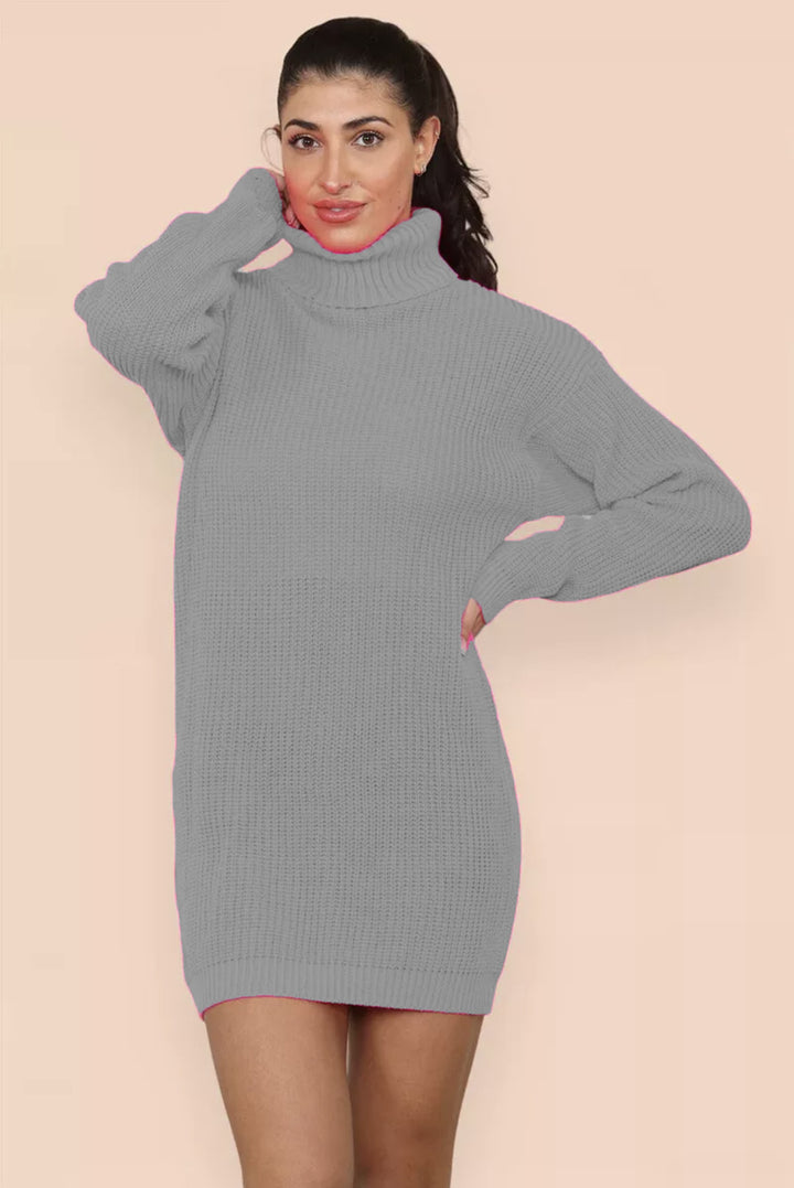 Robe en tricot pour femmes avec col roulé haut et coupe décontractée Chic & Stil
