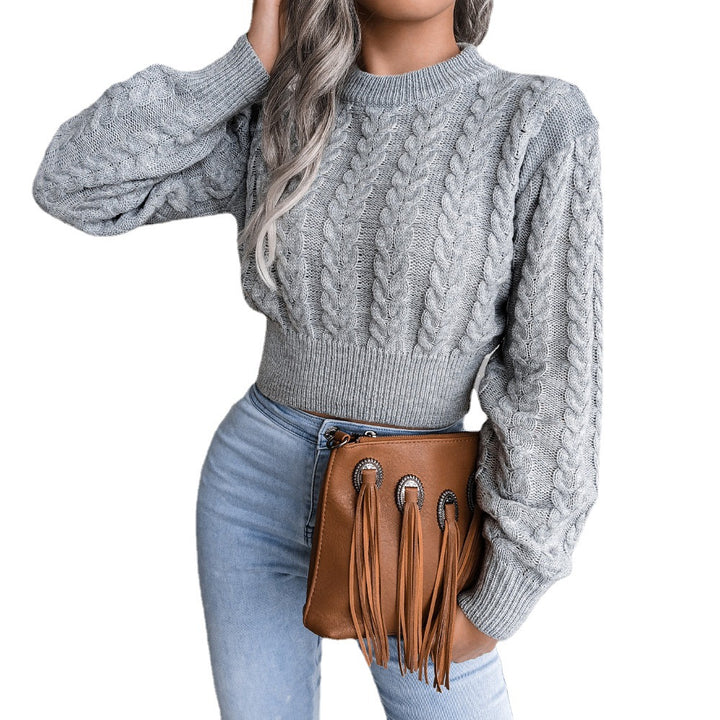 Pull en tricot épais pour femmes avec design en torsades et coupe décontractée Chic & Stil