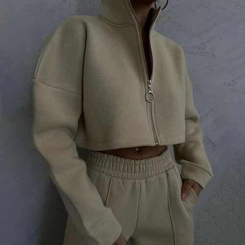 Chic and stylish cropped sporty sweater for women with high collar