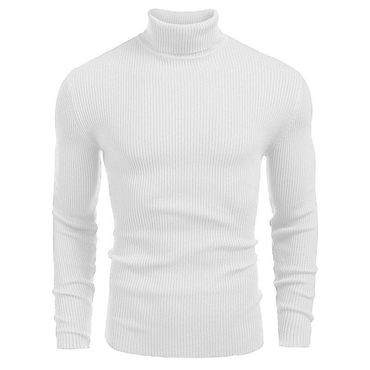 Elegant ribbed turtleneck sweater for men Lune London