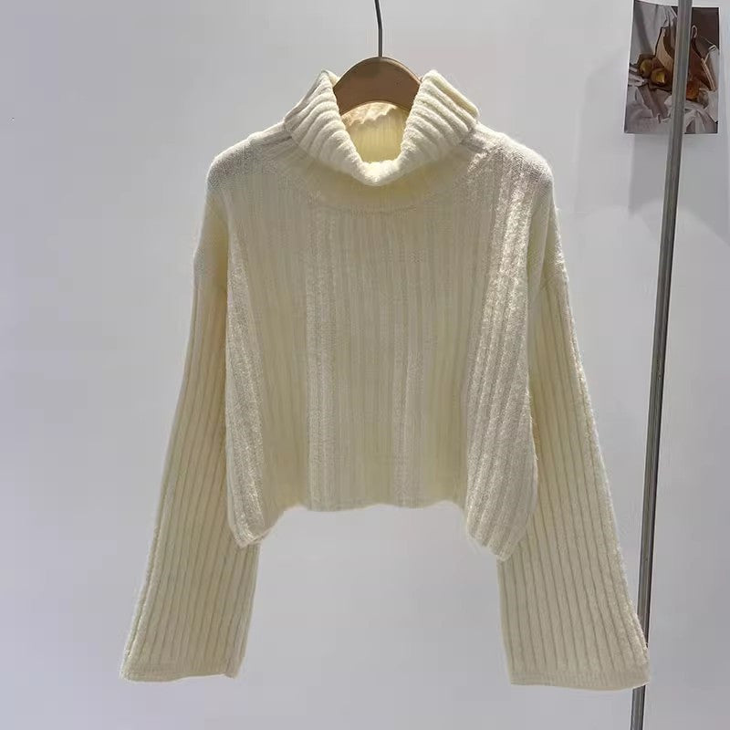 Pull pour femmes à col roulé tendance avec structure côtelée et coupe décontractée Chic & Stil