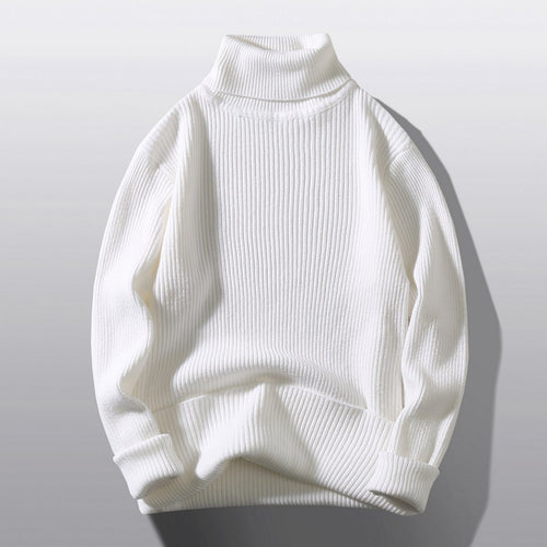 Structured knit sweater with a comfortable roll neck for men Amarae