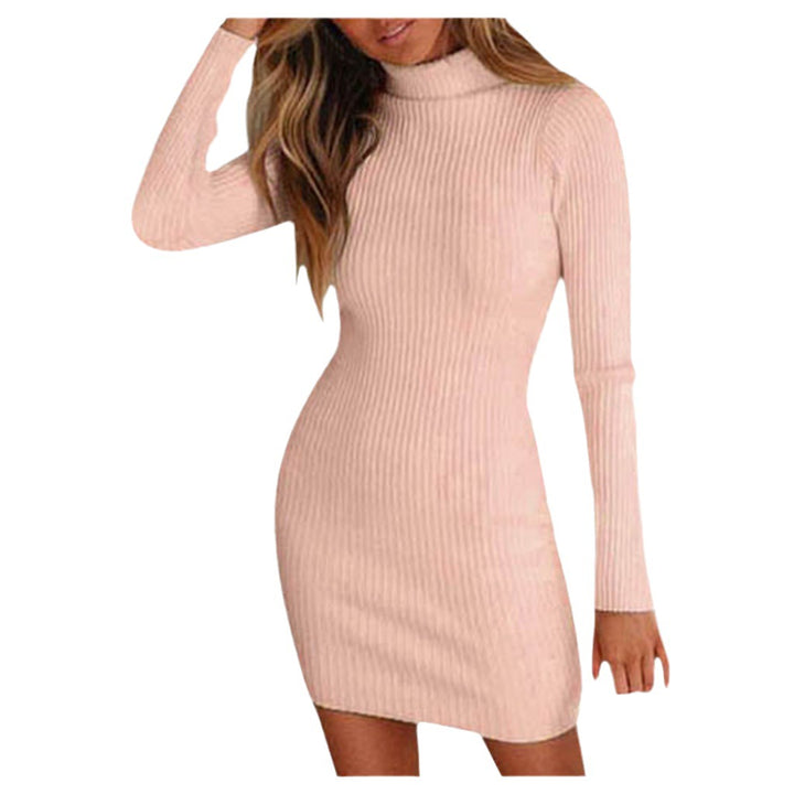 Women's Close-Fitting Ribbed Knit Mini Dress with Roll Neck and Long Sleeves Amarae