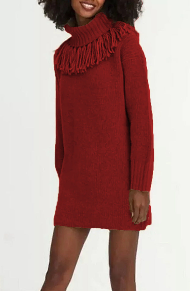 Knit dress for women with high turtleneck and trendy fringes Lune London