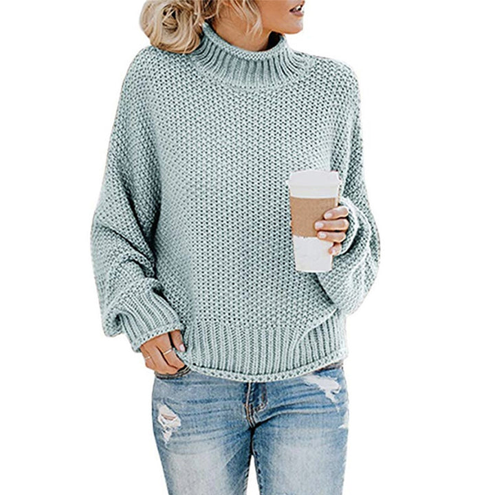 Ladies Large Chic Knitted Sweater and Style