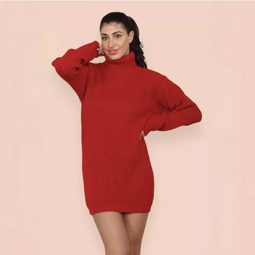 Knit dress for women with a comfortable turtleneck and casual fit Amarael