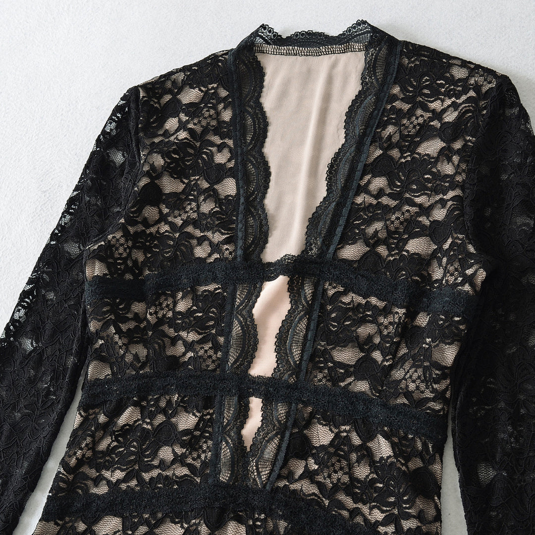 Women's Transparent Lace Blouse with V-Neck, Tailored Inserts and Long Sleeves Amarae