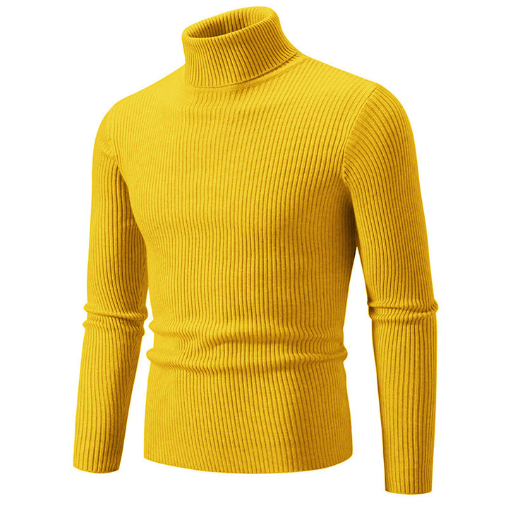 Trendy turtleneck sweater for men with a fine ribbed structure Lune London