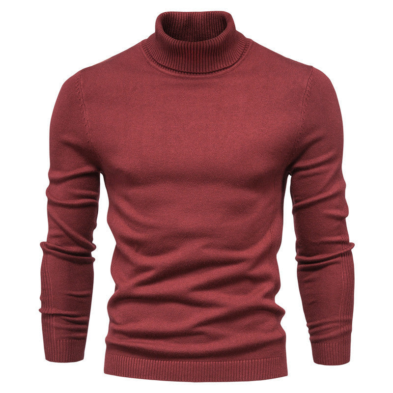 Men's Fashionable Turtleneck Sweater Made Of Fine Merino Wool Lune London