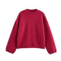 Sweater confortable pour femmes avec des manches volumineuses Chic & Stil