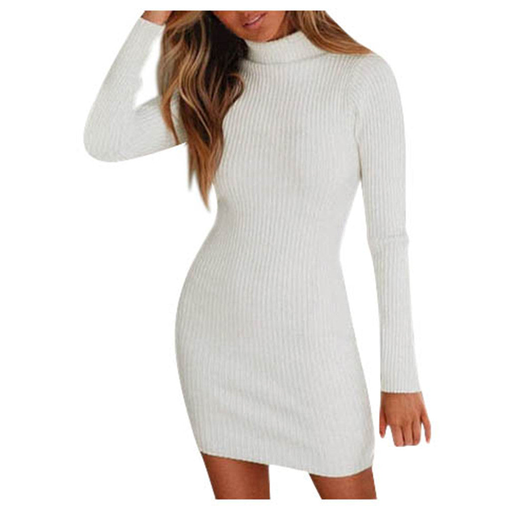 Women's Close-Fitting Ribbed Knit Mini Dress with Roll Neck and Long Sleeves Amarae