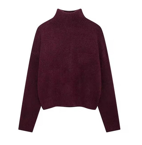 Pull à col roulé pour femmes en tricot doux Chic & Stil