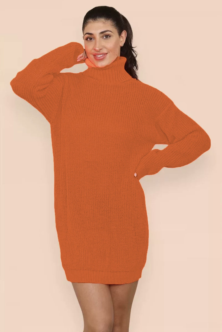 Knit dress for women with a comfortable turtleneck and casual fit Lune Londonl