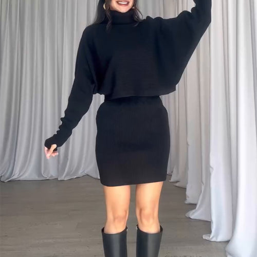 Knit dress for women with casual turtleneck and raglan sleeves Amarae
