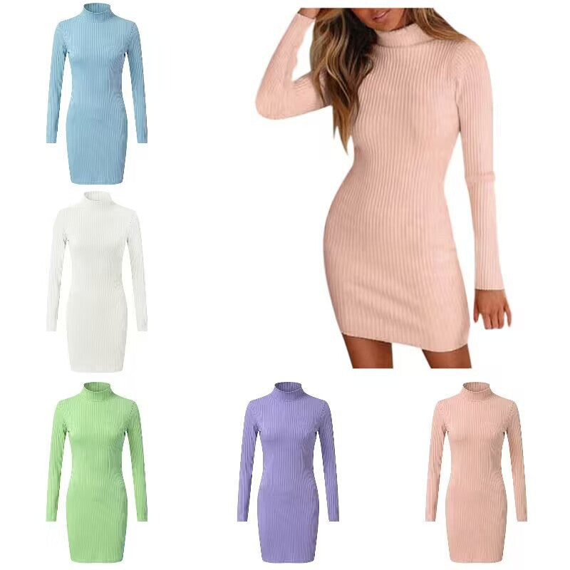 Women's Close-Fitting Ribbed Knit Mini Dress with Roll Neck and Long Sleeves Amarae